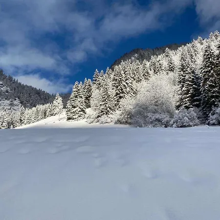 Pour 8 Terrasse Et Parking * Vionnaz