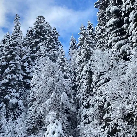 Pour 8 Terrasse Et Parking شقة