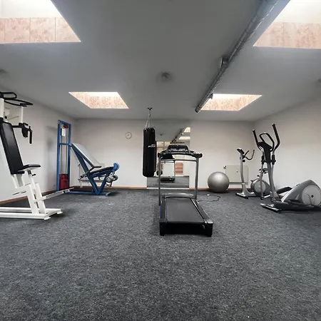 Apartment Pour 8 Terrasse Et Parking Vionnaz