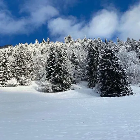 Pour 8 Terrasse Et Parking شقة