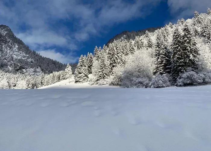 Pour 8 Terrasse Et Parking * Vionnaz