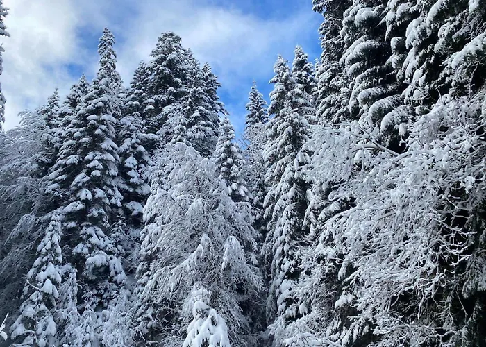 Pour 8 Terrasse Et Parking アパート