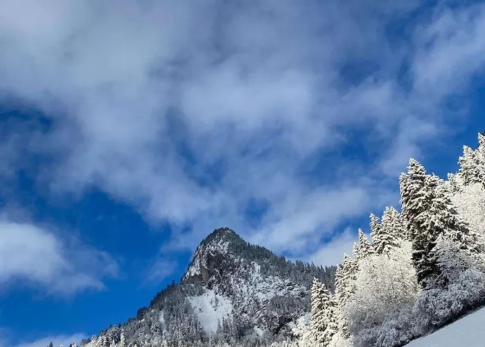 Pour 8 Terrasse Et Parking アパート Vionnaz