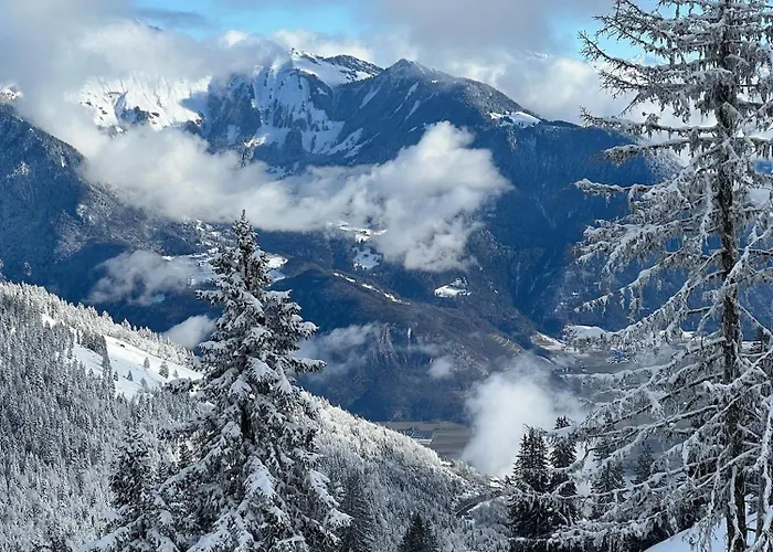 Pour 8 Terrasse Et Parking Vionnaz
