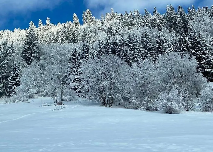 Pour 8 Terrasse Et Parking 公寓 *