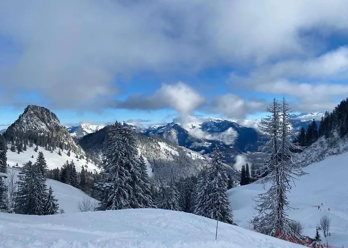 Pour 8 Terrasse Et Parking Vionnaz