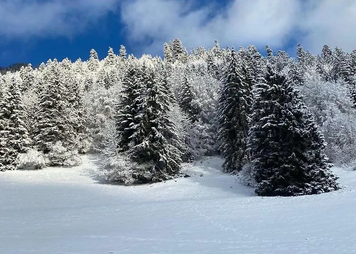 Pour 8 Terrasse Et Parking 公寓